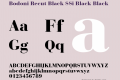 Bodoni Recut Black SSi Black