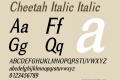 Cheetah Italic