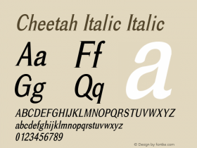 Cheetah Italic