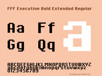 FFF Executive Bold Extended
