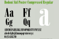 Bodoni Std Poster Compressed