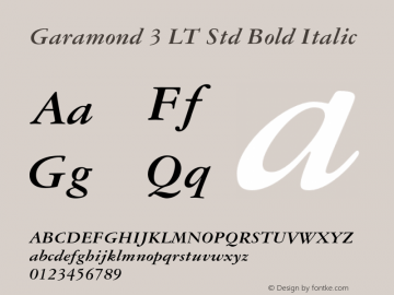 Garamond 3 LT Std