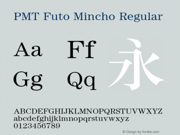 PMT Futo Mincho