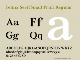 Felina SerifSmall Print