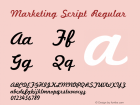 Marketing Script