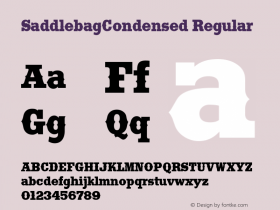 SaddlebagCondensed