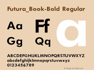 Futura_Book-Bold