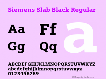 Siemens Slab Black