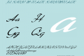 FZ SCRIPT 20 ITALIC