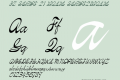 FZ SCRIPT 21 ITALIC