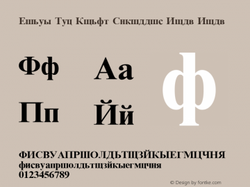 Times New Roman Cyrillic Bold