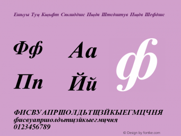 Times New Roman Cyrillic Bold Inclined