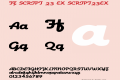 FZ SCRIPT 23 EX
