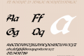 FZ SCRIPT 25 ITALIC