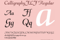 CalligraphyFLF