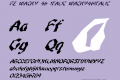 FZ WACKY 46 ITALIC