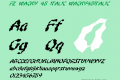 FZ WACKY 48 ITALIC