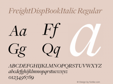 FreightDispBookItalic