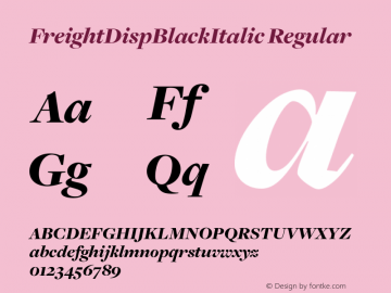 FreightDispBlackItalic