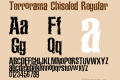 Terrorama Chiseled