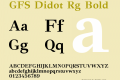 GFS Didot Rg