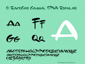 0 RaceCar Casual DNA