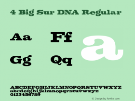 4 Big Sur DNA