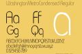 WashingtonMetroCondensed