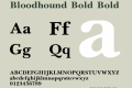 Bloodhound Bold