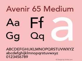 Avenir 65