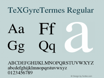 TeXGyreTermes