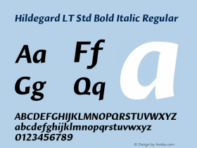 Hildegard LT Std Bold Italic