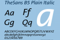 TheSans B5 Plain