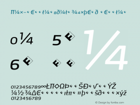 Max-RegularItalicExpert