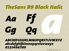 TheSans B9 Black