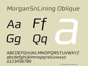 MorganSnLining