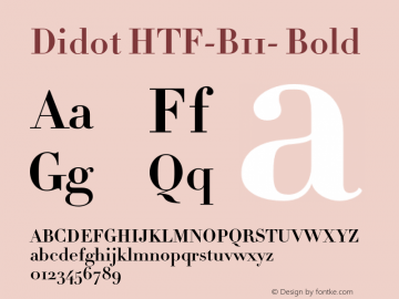 Didot HTF-B11-