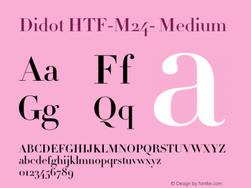 Didot HTF-M24-