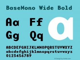 BaseMono Wide