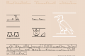 Hieroglyphic Cartouche