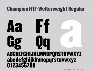 Champion HTF-Welterweight