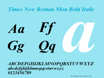 Times New Roman Mon