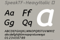 SpeakTF-HeavyItalic