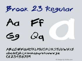 Brook 23