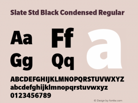 Slate Std Black Condensed