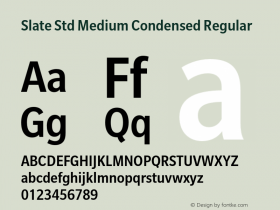 Slate Std Medium Condensed