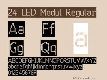 24 LED Modul