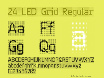 24 LED Grid