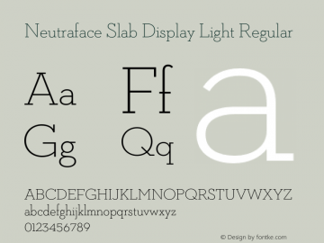 Neutraface Slab Display Light