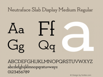 Neutraface Slab Display Medium